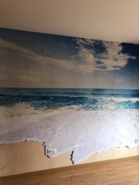 Alta decoración · 32